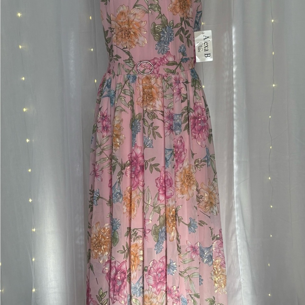 Alexa B Pink Floral Maxi Dress
